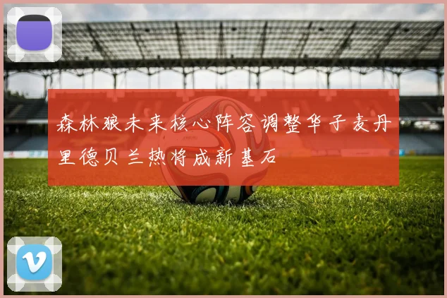 森林狼未来核心阵容调整华子麦丹里德贝兰热将成新基石